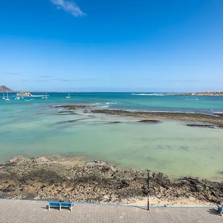 Appartement Home2book Ocean View - Terrace Pool *